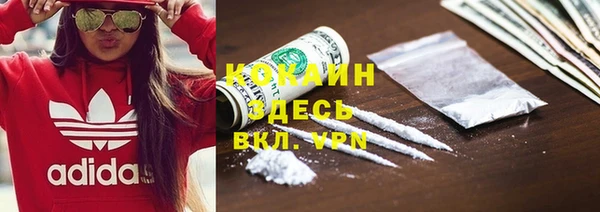 сатива Армянск
