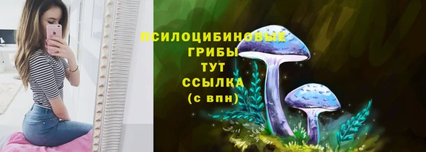 a pvp Аркадак