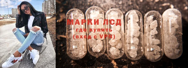 сатива Армянск