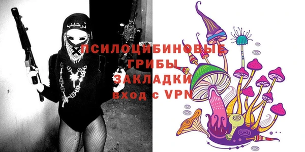 твердый Балахна