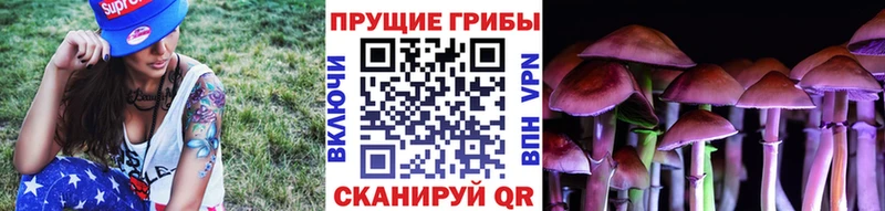 Псилоцибиновые грибы GOLDEN TEACHER  Ревда 